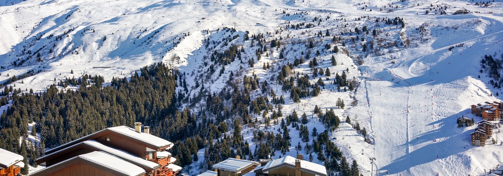 Meribel Mottaret Ski Chalets